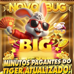 Segurança arara777 SSL